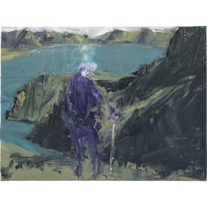 Purple Mum (looking towards Gebbies Pass)