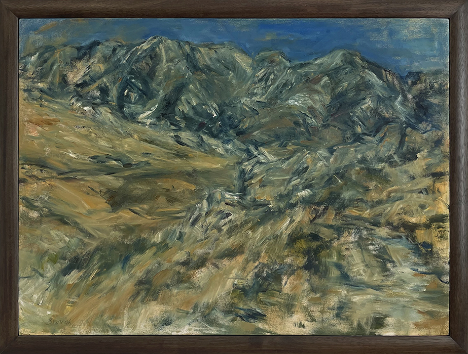 Castle Hill, Torlesse Range, Catherine Brough, oil on canvas, framed, 