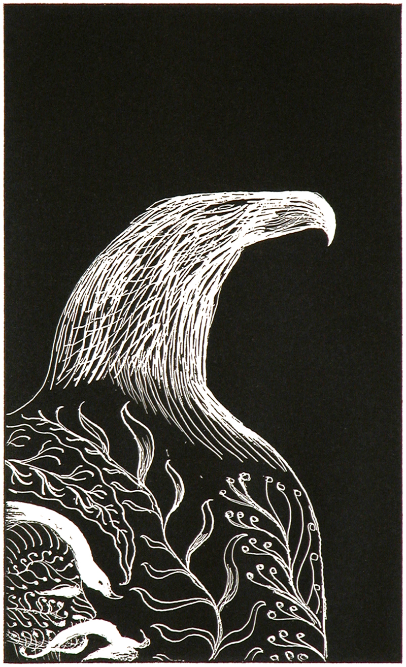 Giant Eagle #1, Bill Hammond, 2006, Relief etching on BFK Rives 250g paper, 430 x 330mm (framed), (SOLD)