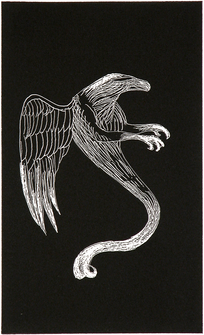 Giant Eagle #3, Bill Hammond, 2006, Relief etching on BFK Rives 250g paper, 430 x 330mm (framed), (SOLD)