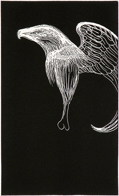 Giant Eagle #4, Bill Hammond, 2006, Relief etching on BFK Rives 250g paper, 430 x 330mm (framed), (SOLD)