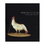 ‘Wonderland’ Joanna Braithwaite catalogue