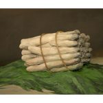Bunch of asparagus - after Manet, by Julia Holden