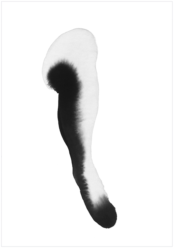 Das tragende Eis #15, Katharina Jaeger, 2018 ink on paper, 280 x 190mm $300