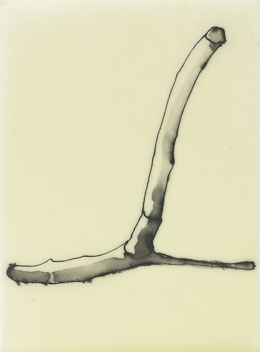 'Plant Body 2', by Katharina Jaeger, ink and wax on paper, 210x140mm, $300