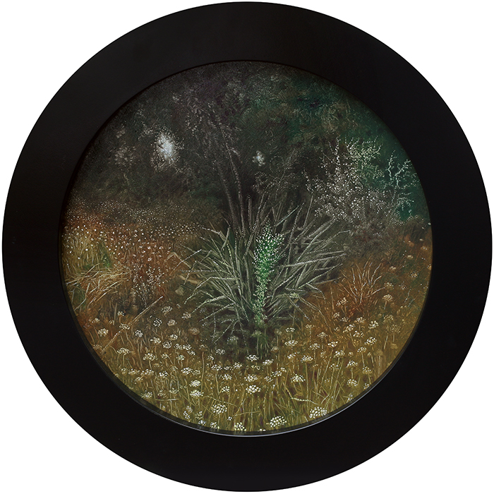 Yarrow and the Beauty of Abandonment, Rebecca Harris, 2020 painting, Oil on board, 600mm diameter, framed.
